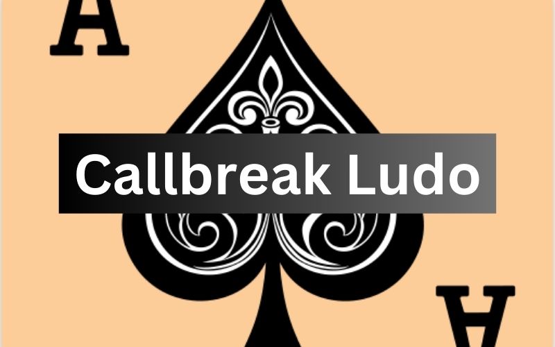 callbreak ludo